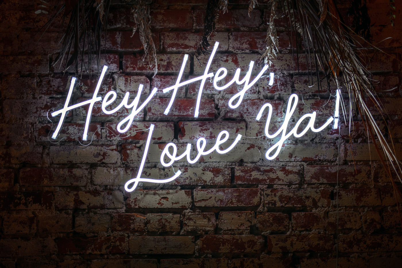 Frasi al neon