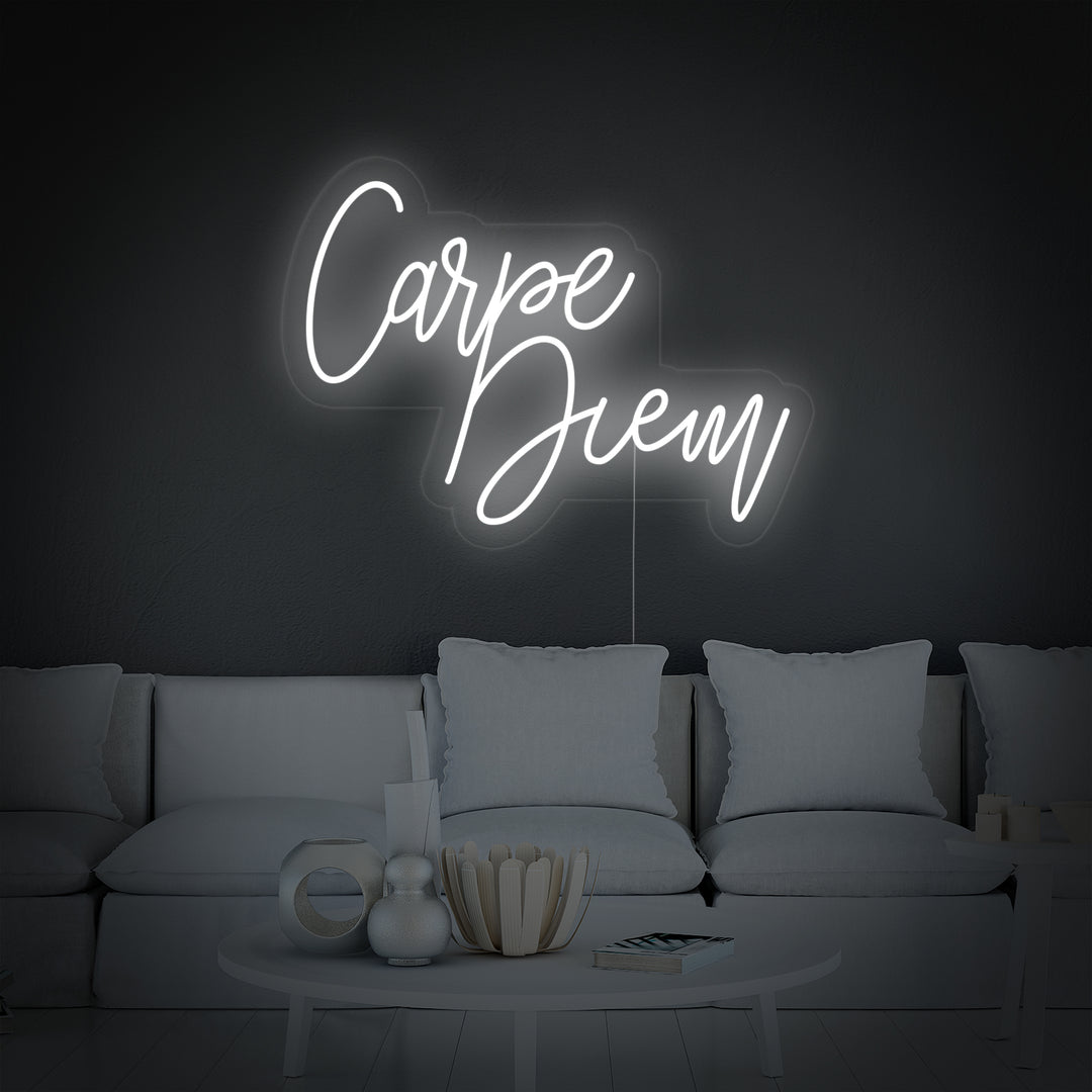 "Carpe Diem Latin Means Seize the Day" Insegna al neon